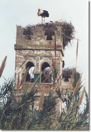 ksar 
